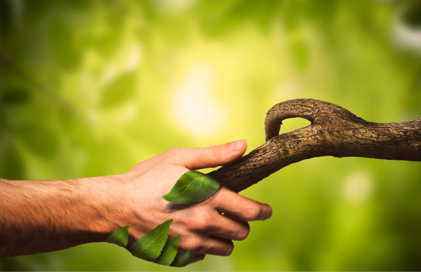 Thiên nhiên – liệu pháp tinh thần hiệu quả cho con người hiện đại